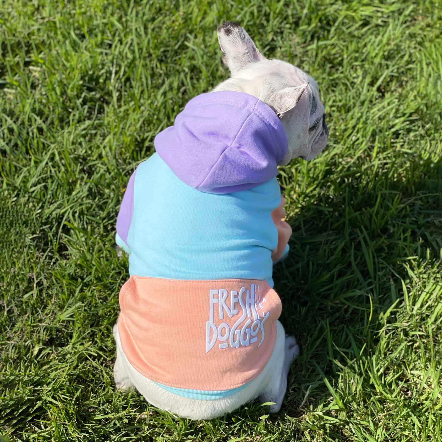 Polerón para perros Colors Aqua, Damasco y Lila