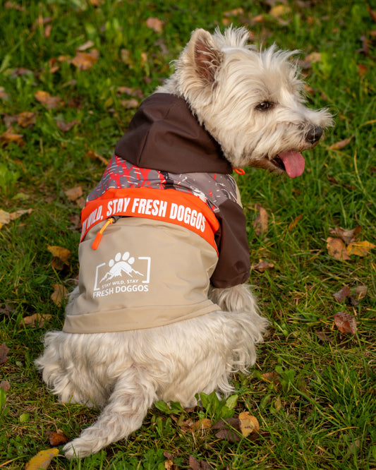 Impermeable para Perros Stay Wild – Fresh Doggos Beige/Café/Naranjo 🐶🌧️