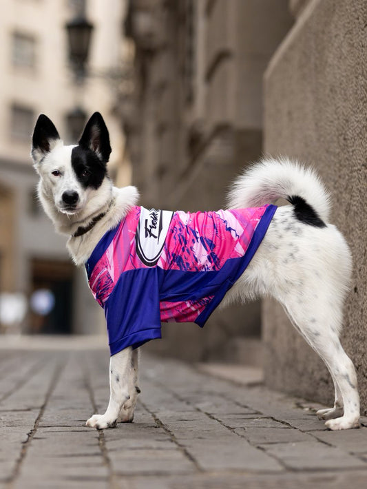 Colección FD26 Fucsia/Morado
