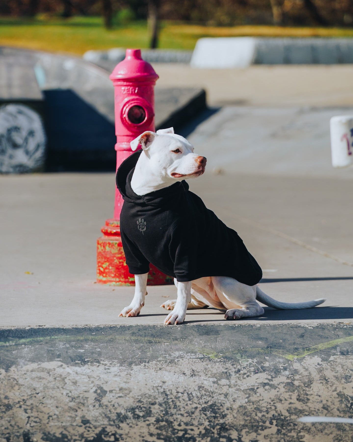 Polerón de Algodón para Perros - Colección FD26 | Colores de Temporada y Estampados Exclusivos FD26 — SHADOW