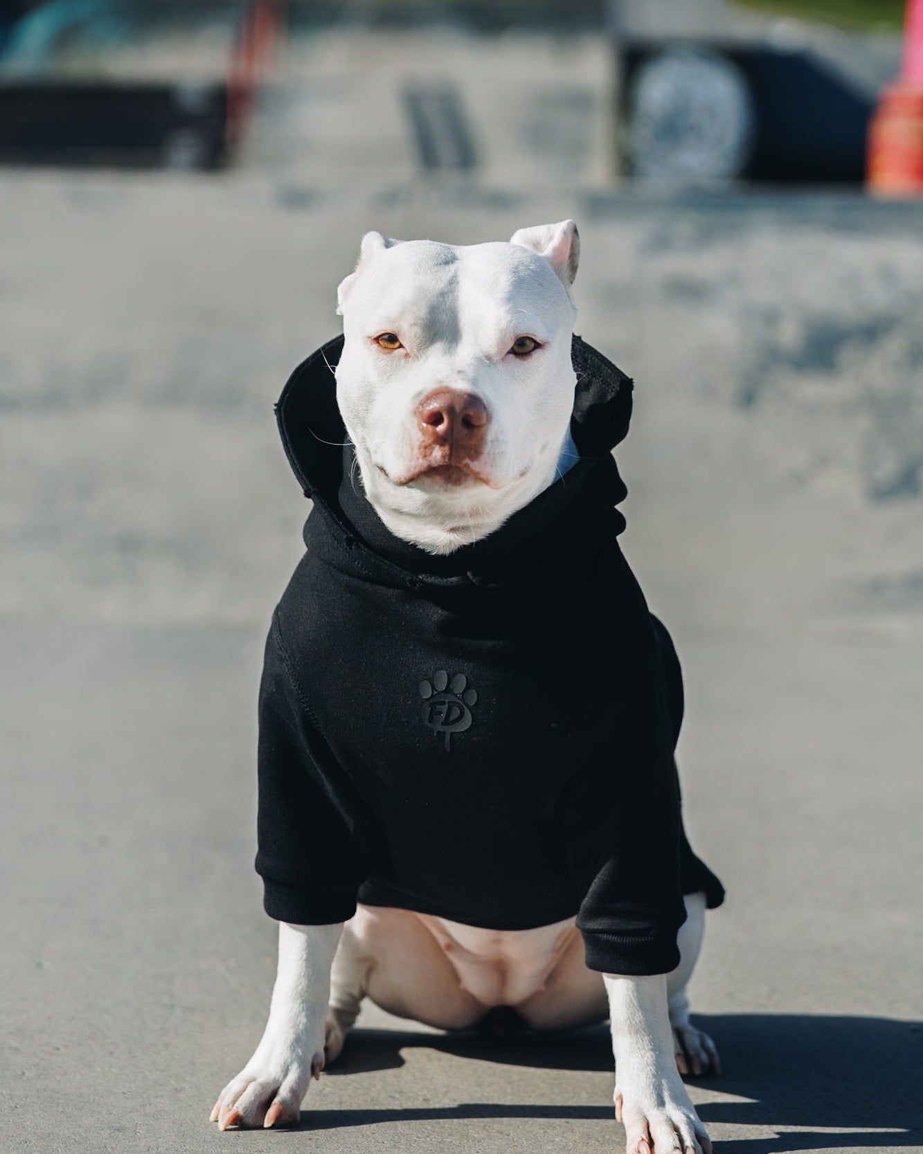 Polerón de Algodón para Perros - Colección FD26 | Colores de Temporada y Estampados Exclusivos FD26 — SHADOW