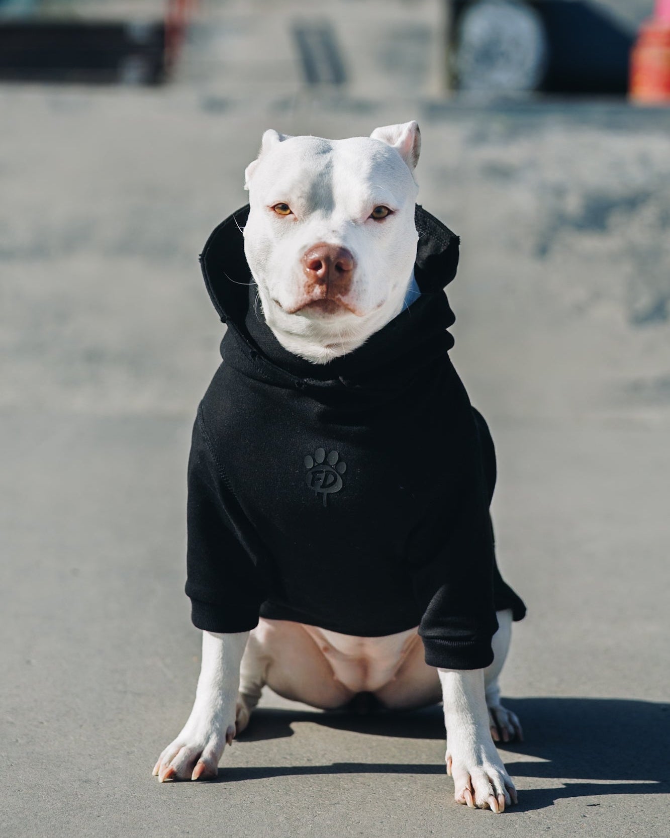 Polerón de Algodón para Perros - Colección FD26 | Colores de Temporada y Estampados Exclusivos FD26 — SHADOW