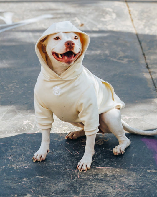 Polerón de Algodón para Perros - Colección FD26 | Colores de Temporada y Estampados Exclusivos FD26 — BONE