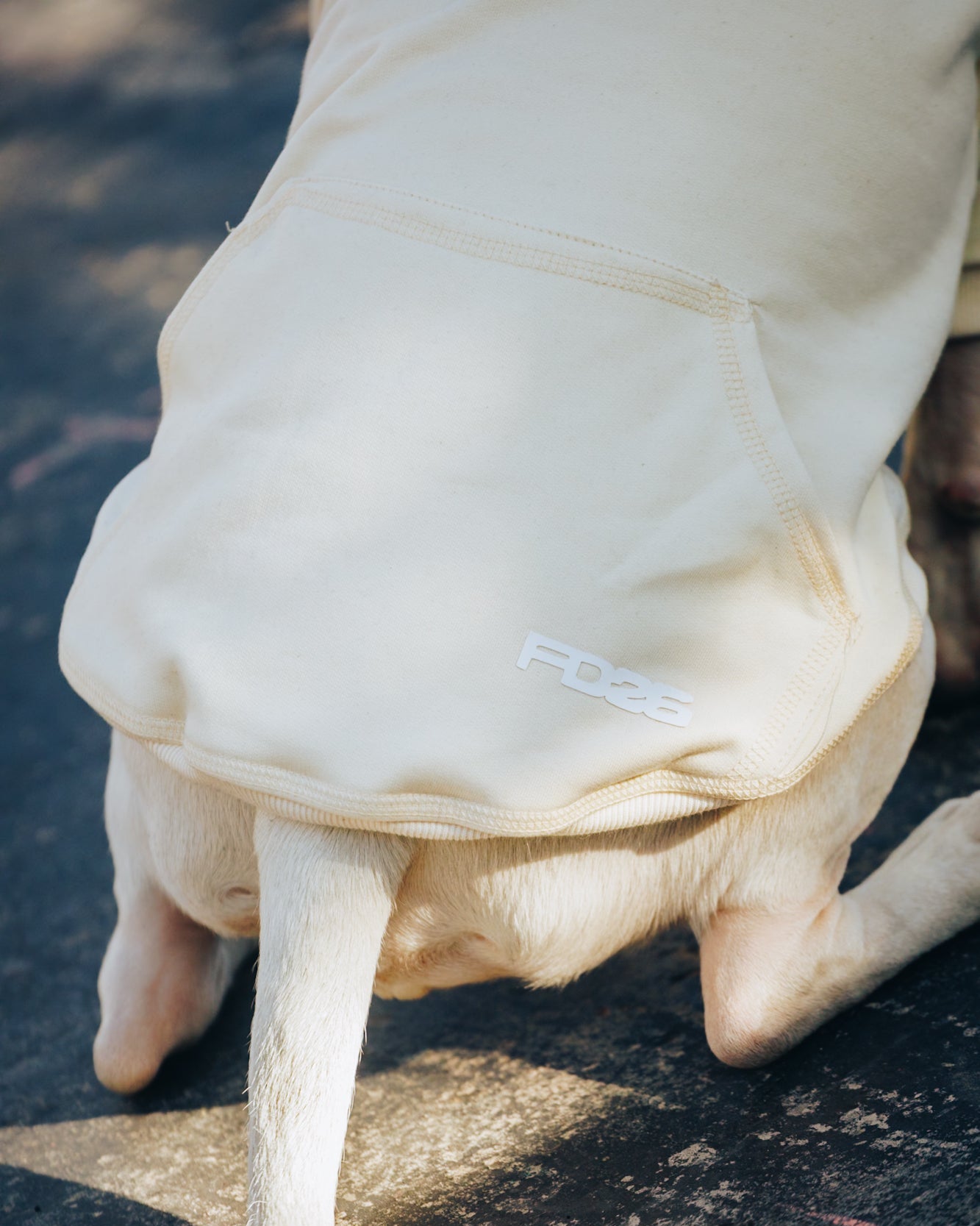 Polerón de Algodón para Perros - Colección FD26 | Colores de Temporada y Estampados Exclusivos FD26 — BONE
