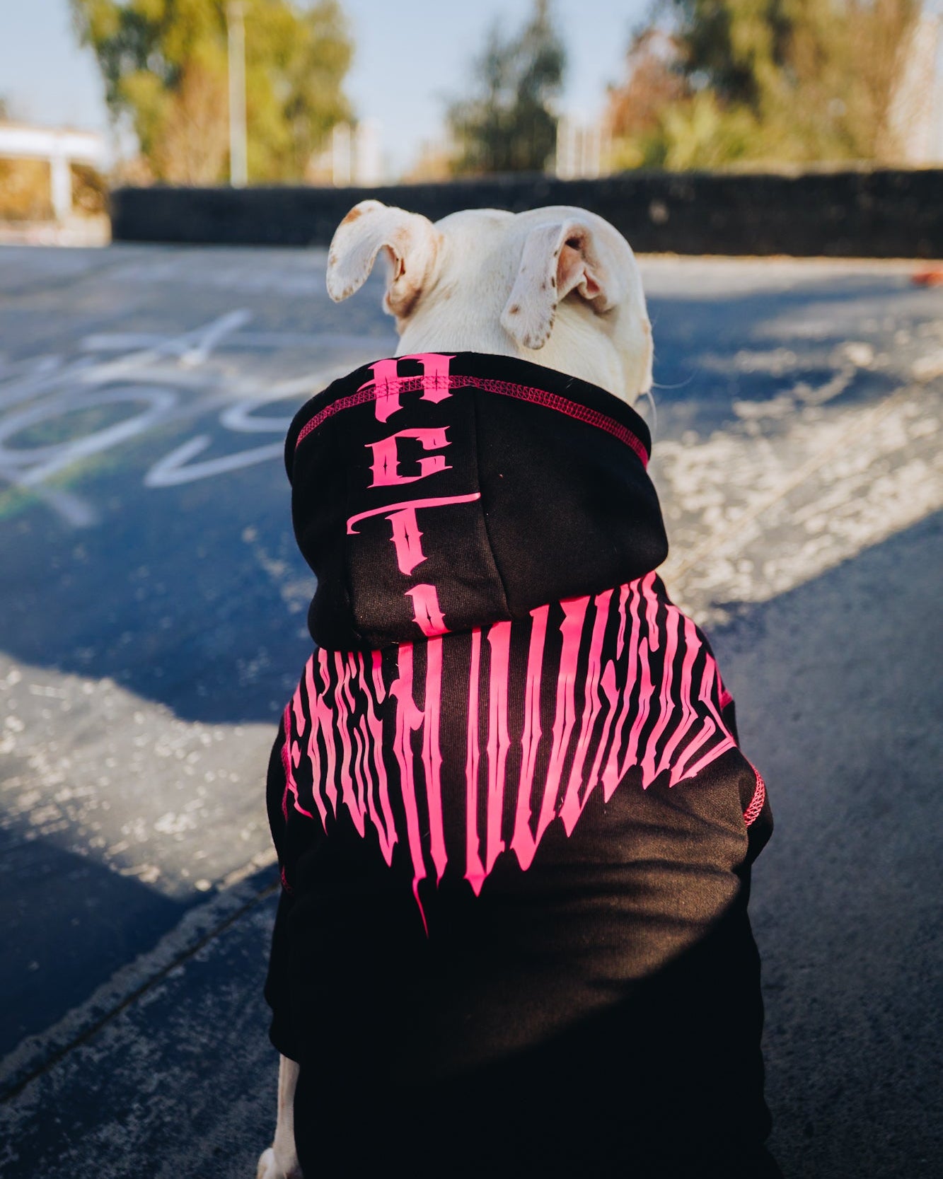 Polerón de Algodón para Perros - Colección FD26 | Colores de Temporada y Estampados Exclusivos FD26 — Blaze Edition Fucsia