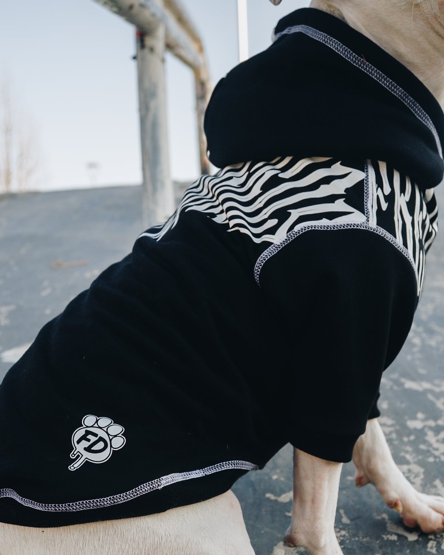 Polerón de Algodón para Perros - Colección FD26 | Colores de Temporada y Estampados Exclusivos FD26 — Blaze Edition