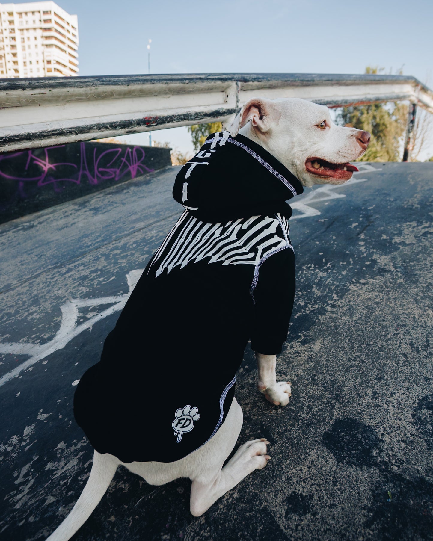 Polerón de Algodón para Perros - Colección FD26 | Colores de Temporada y Estampados Exclusivos FD26 — Blaze Edition