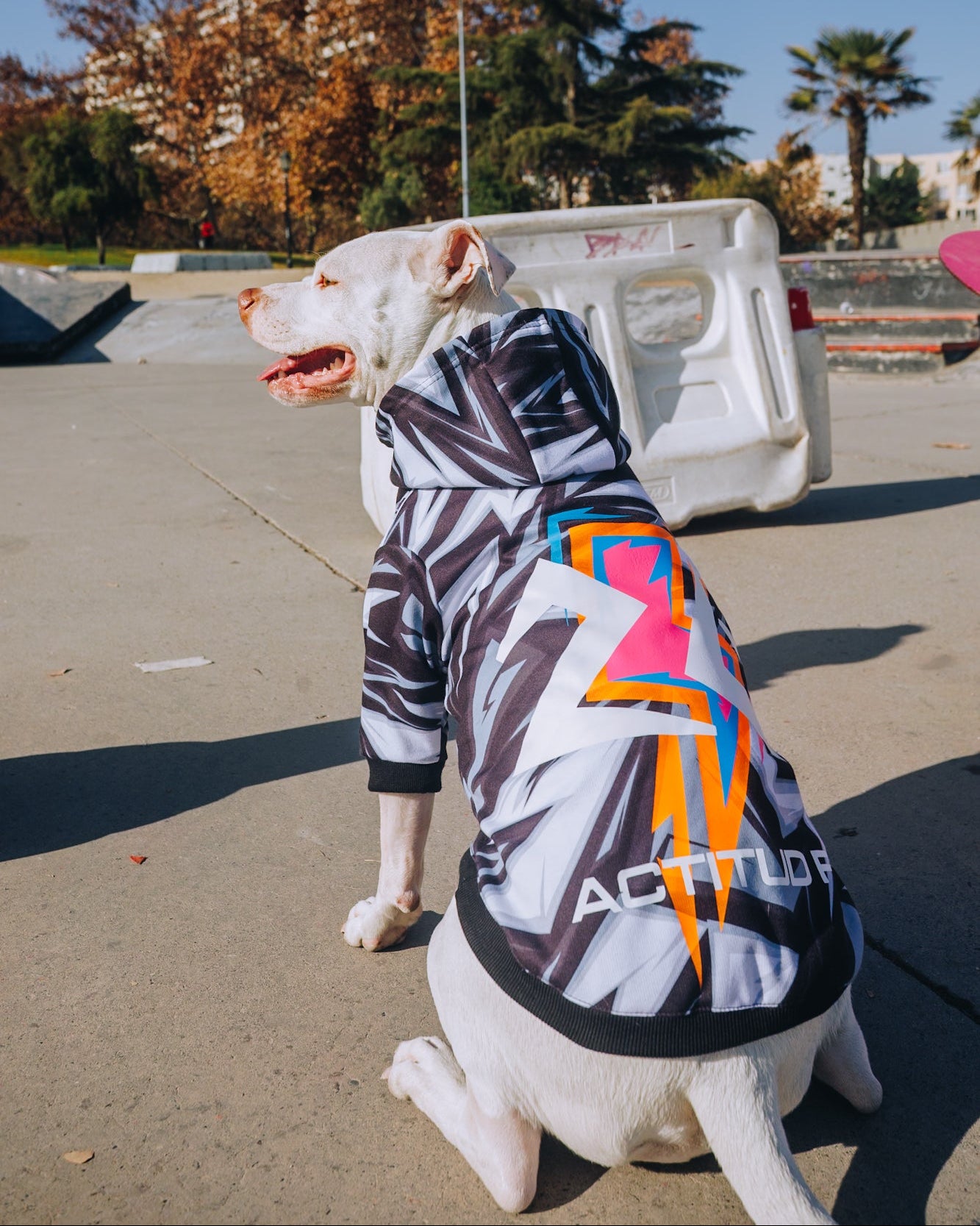 Polerón de Polyester Sublimado para Perros - Colección Actitud FD26 | Colores de Temporada y Estampados Exclusivos Ziggy