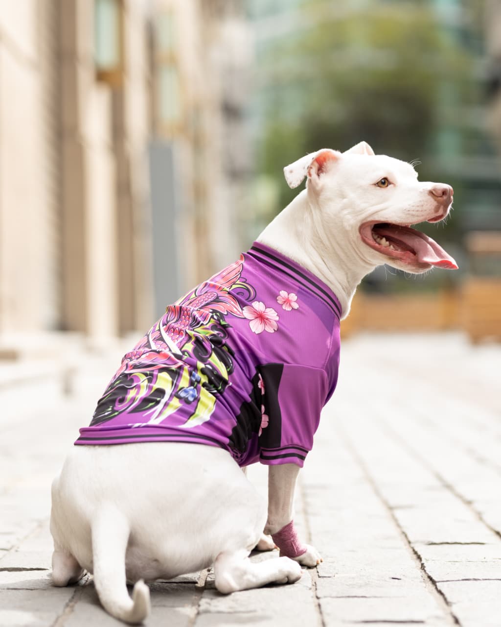 Polera filtro UV Sukajan Koi