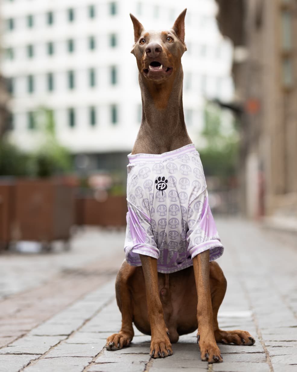 Polera filtro UV Sukajan Daruma