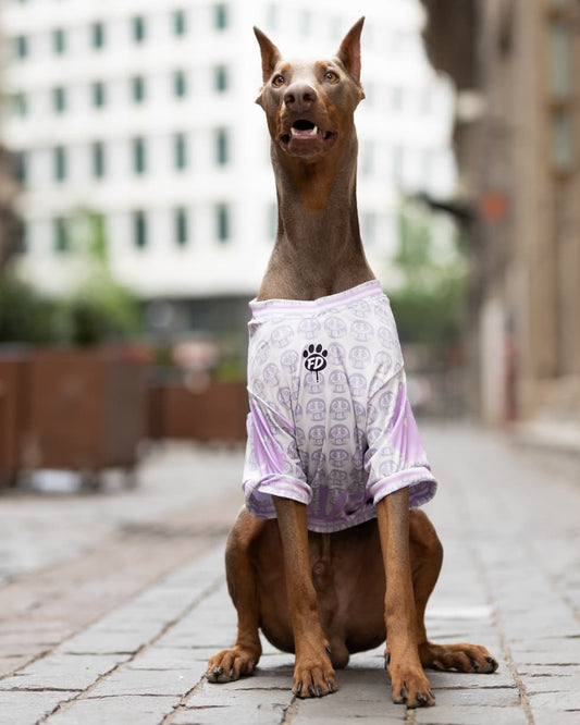 Polera filtro UV Sukajan Daruma