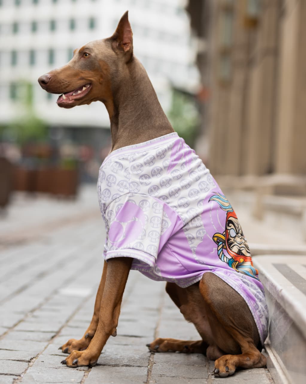 Polera filtro UV Sukajan Daruma