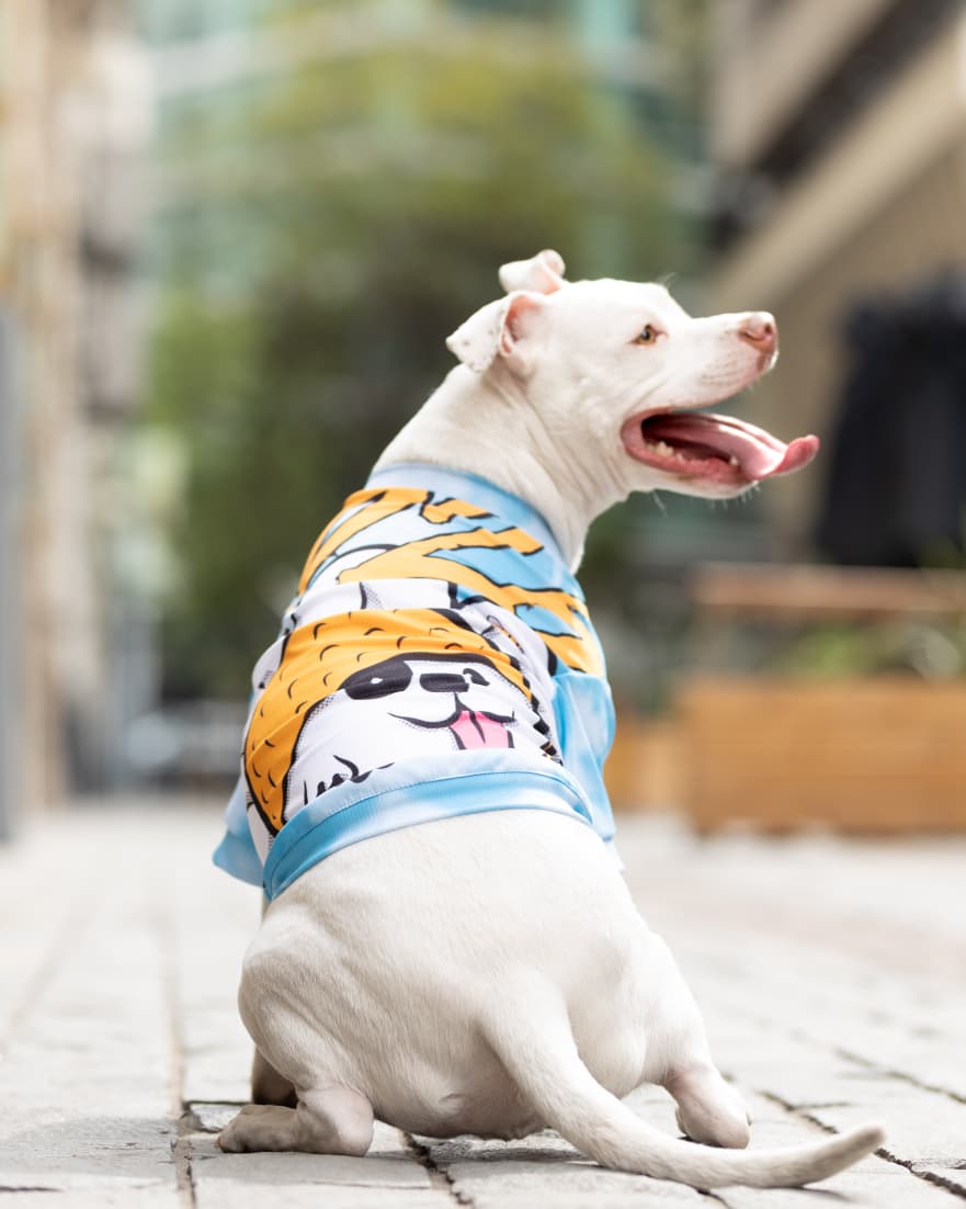 Polera filtro UV Daisy Doggo
