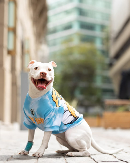 Polera filtro UV Daisy Doggo