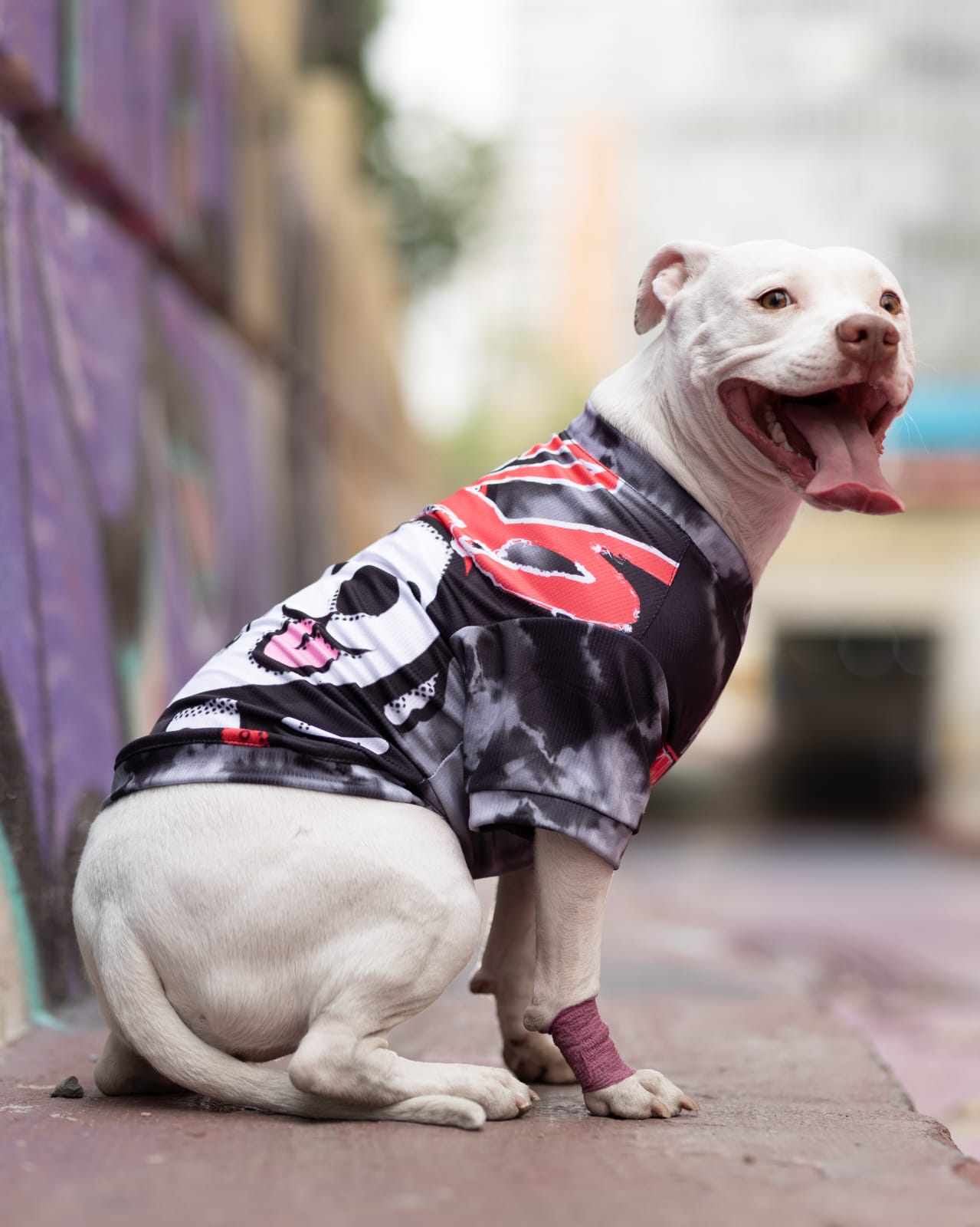 Polera filtro UV Skate Doggo