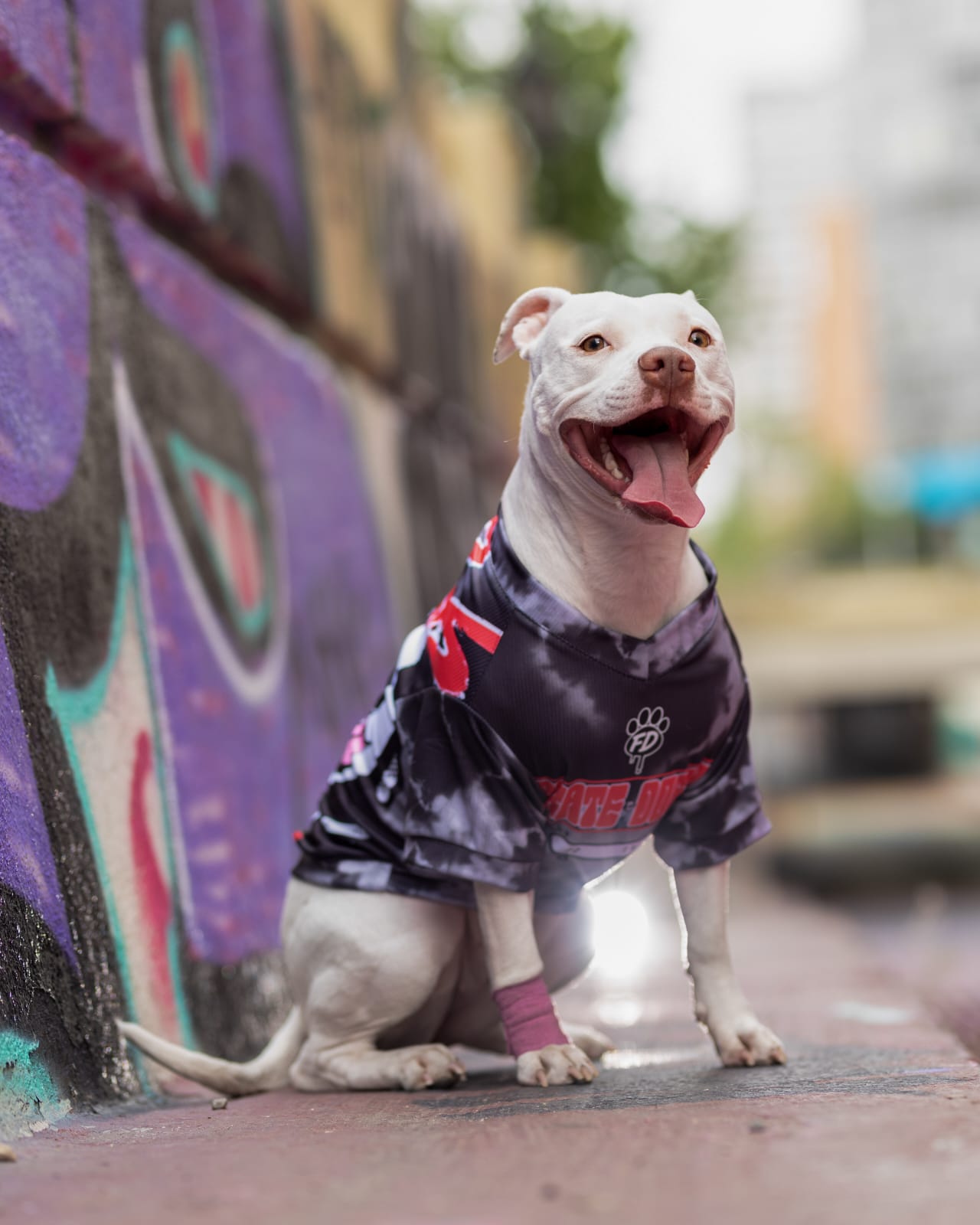 Polera filtro UV Skate Doggo