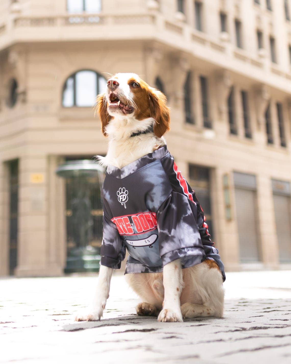 Polera filtro UV Skate Doggo