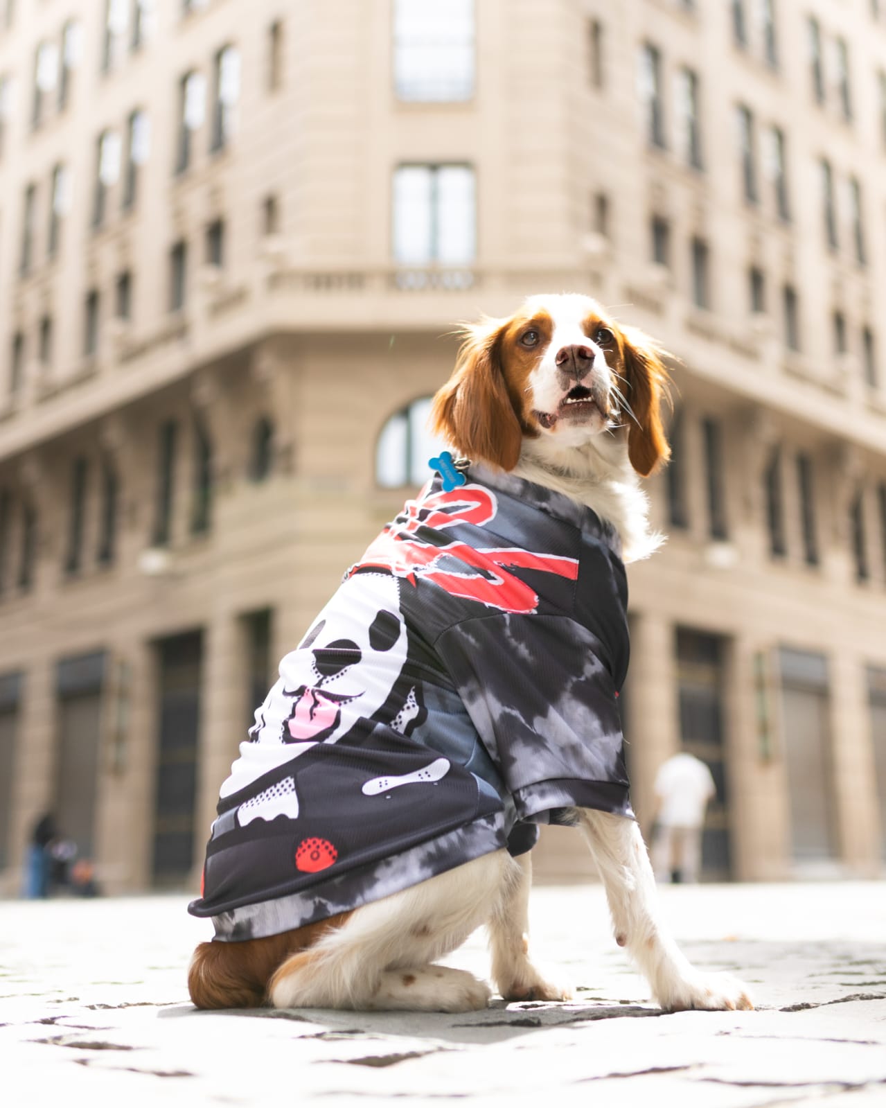 Polera filtro UV Skate Doggo