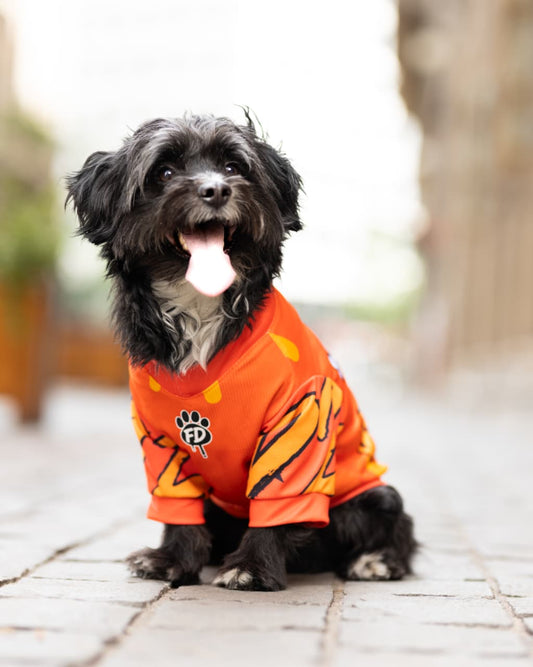 Polera filtro UV Guauren Naranjo