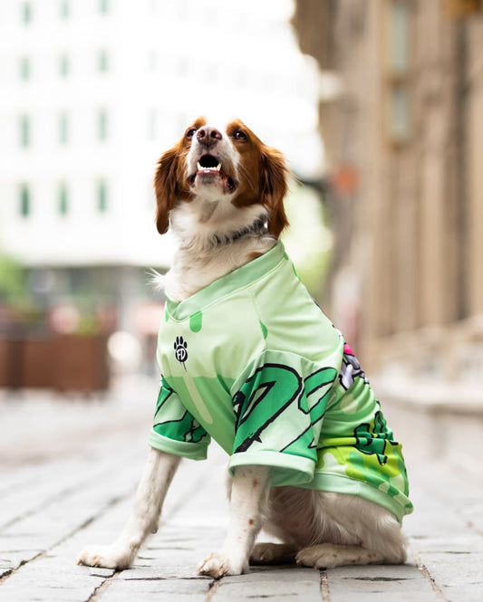 Polera filtro UV Guauren Verde Lima