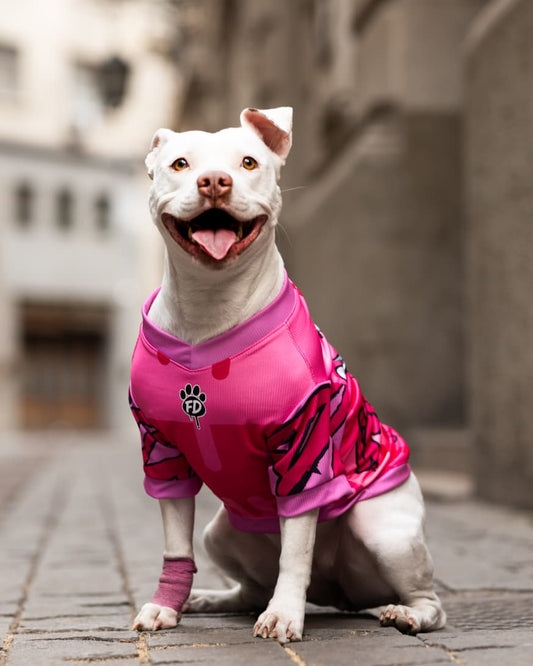 Polera filtro UV Guauren Fucsia