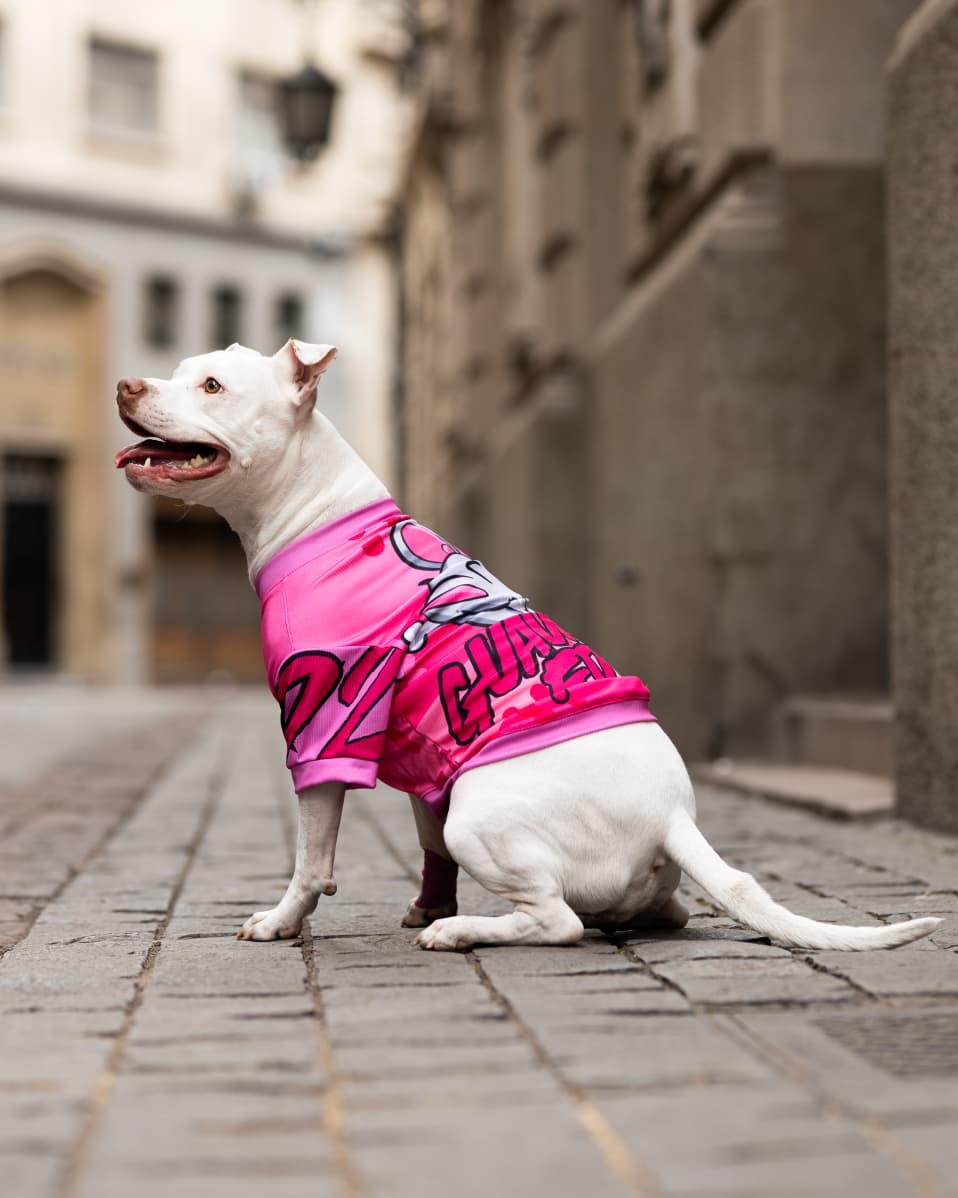 Polera filtro UV Guauren Fucsia