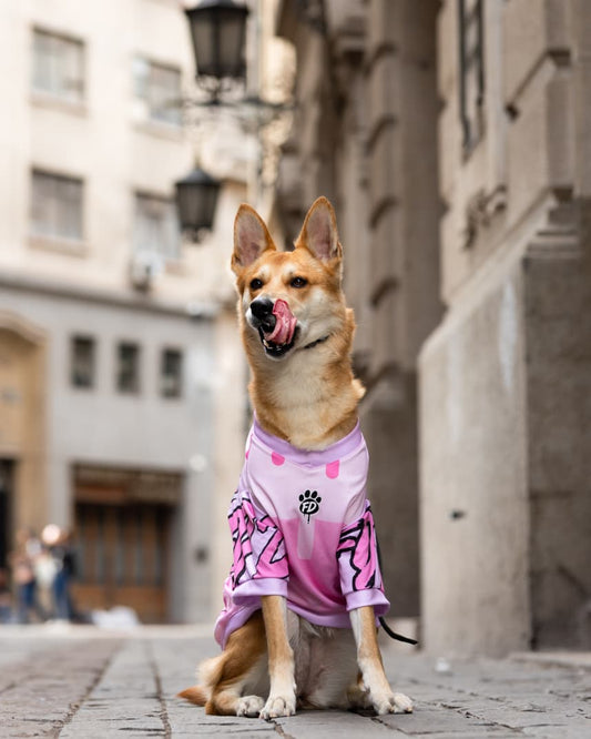 Polera filtro UV Guauren Rosado