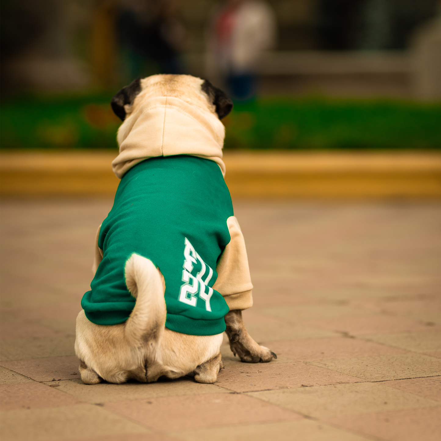Polerón para perro FD24 Verde / Beige