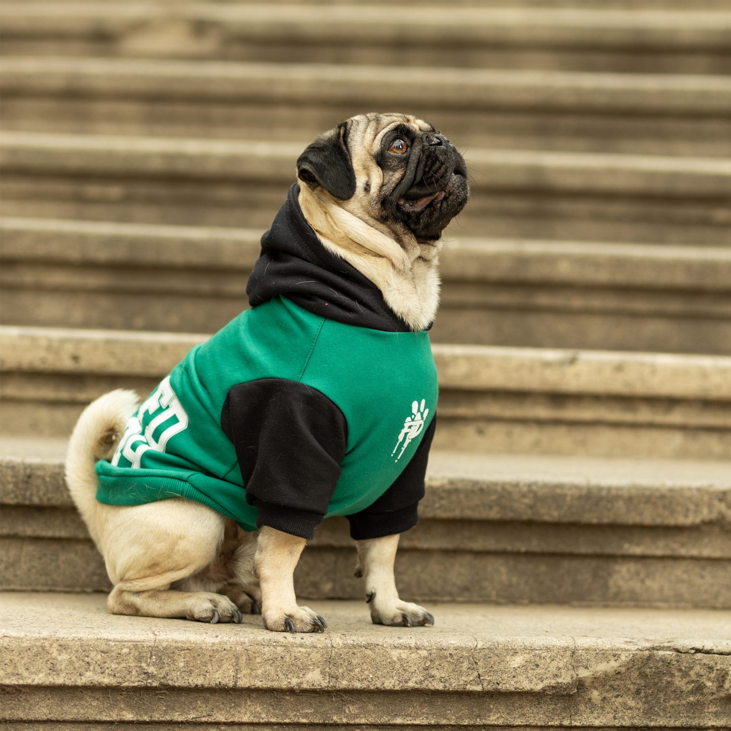 Polerón para perro FD24 Verde / Negro