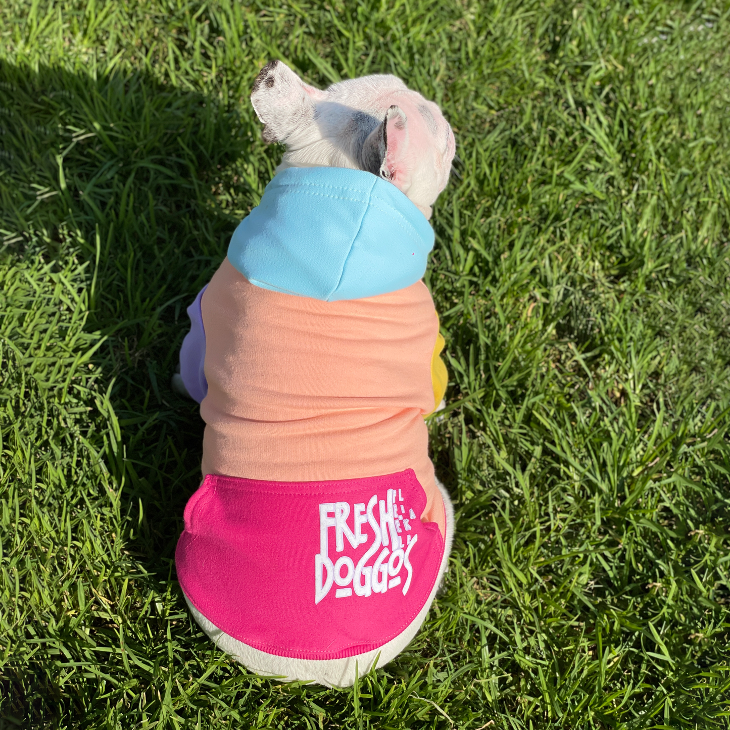 Polerón para perro Colors Damasco, Fucsia, Amarillo, Lila