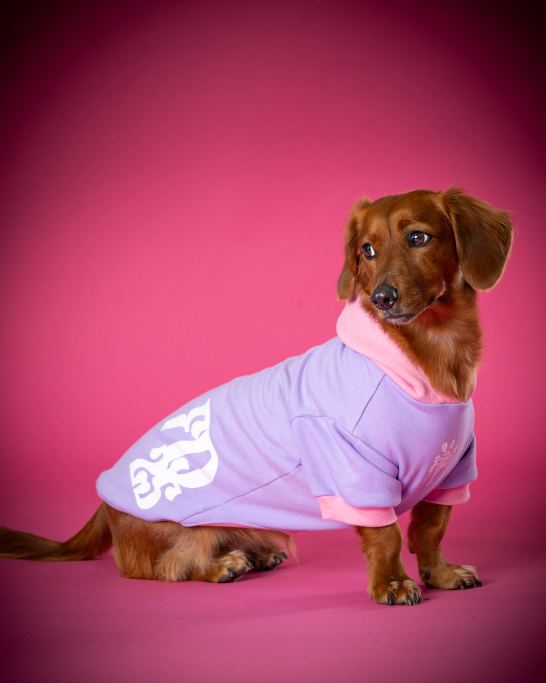 Polerón de Algodón para Perros - Colección FD25 2025 | Colores de Temporada y Estampados Exclusivos Rosado / Lila