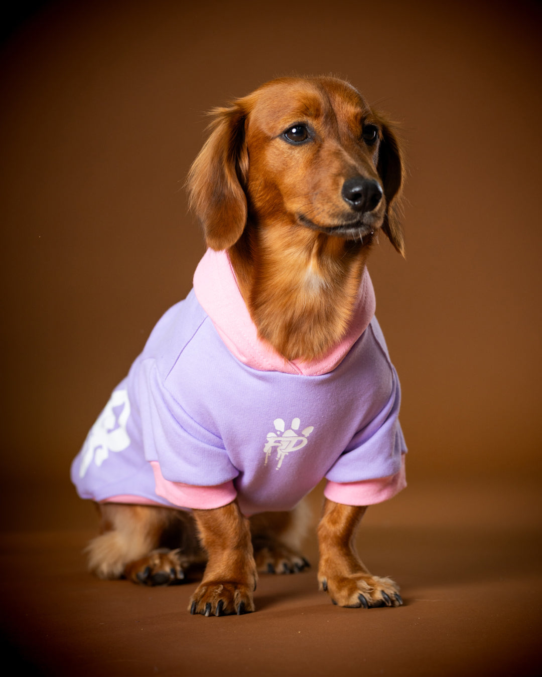 Polerón de Algodón para Perros - Colección FD25 2025 | Colores de Temporada y Estampados Exclusivos Rosado / Lila
