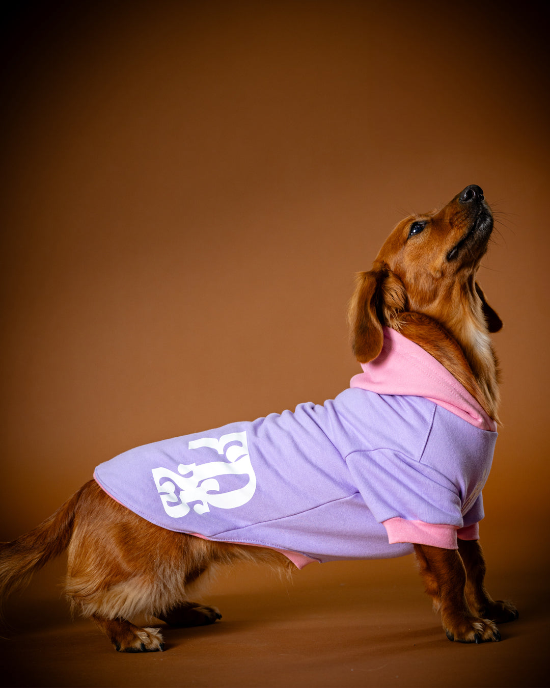 Polerón de Algodón para Perros - Colección FD25 2025 | Colores de Temporada y Estampados Exclusivos Rosado / Lila