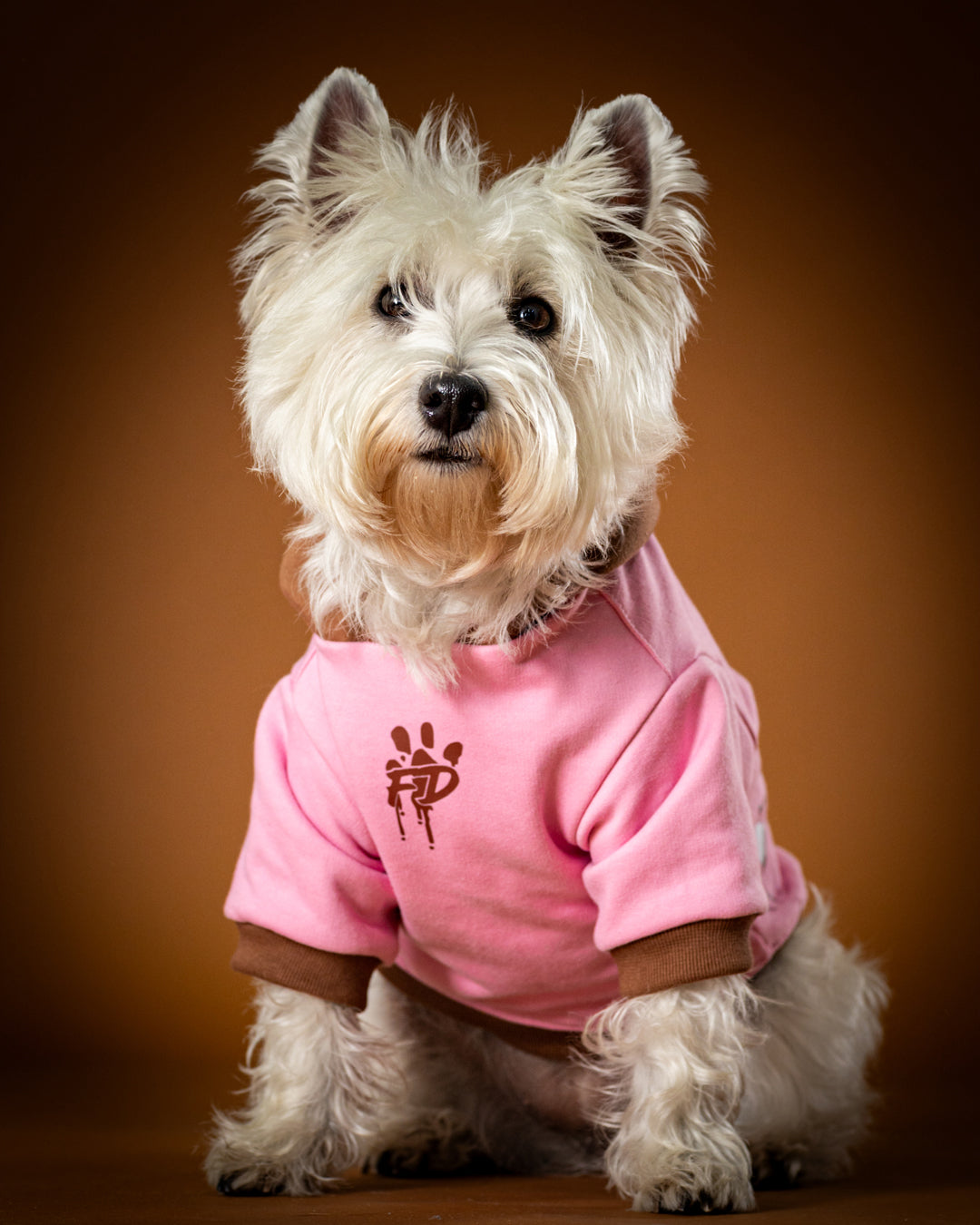 Polerón de Algodón para Perros - Colección FD25 2025 | Colores de Temporada y Estampados Exclusivos Rosado / Café moka