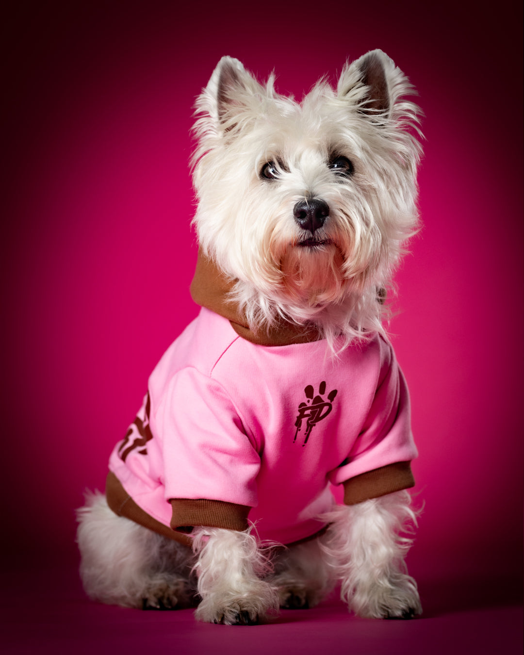 Polerón de Algodón para Perros - Colección FD25 2025 | Colores de Temporada y Estampados Exclusivos Rosado / Café moka