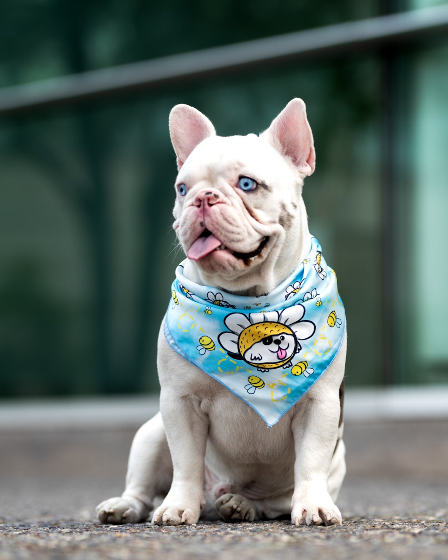 Pañuelo Pañuelo Bandana para perros Daisy Doggo