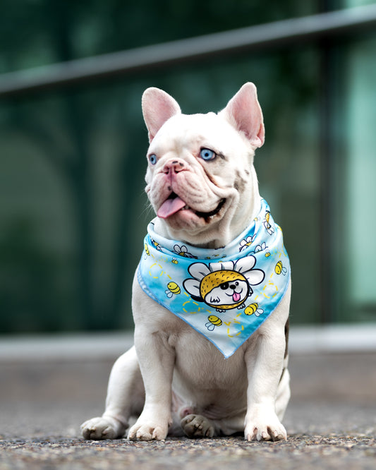 Pañuelo Pañuelo Bandana para perros Daisy Doggo