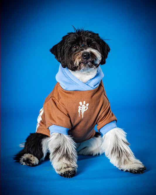 Polerón de Algodón para Perros - Colección FD25 2025 | Colores de Temporada y Estampados Exclusivos Café Moka / Celeste