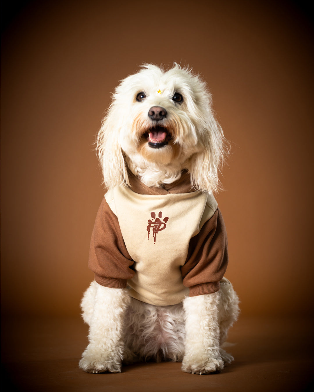 Polerón de Algodón para Perros - Colección FD25 2025 | Colores de Temporada y Estampados Exclusivos Trilogía tierra
