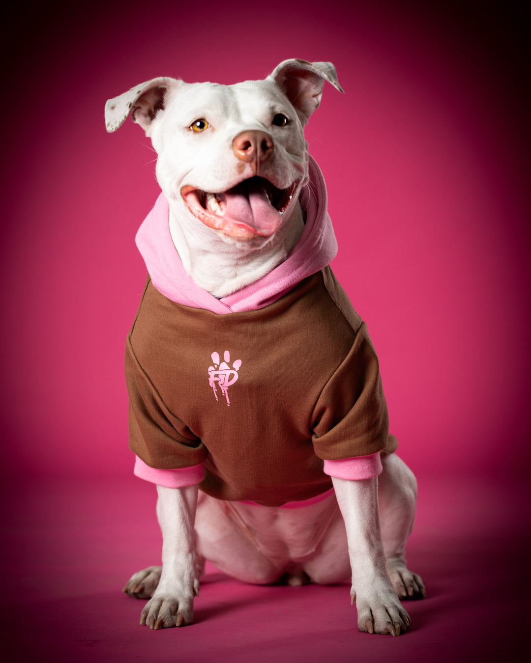 Polerón de Algodón para Perros - Colección FD25 2025 | Colores de Temporada y Estampados Exclusivos Café moka / Rosado