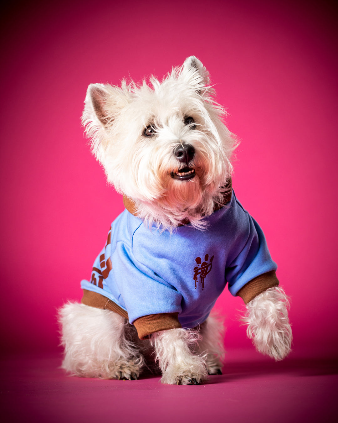 Polerón de Algodón para Perros - Colección FD25 2025 | Colores de Temporada y Estampados Exclusivos Celeste  / Café Moka