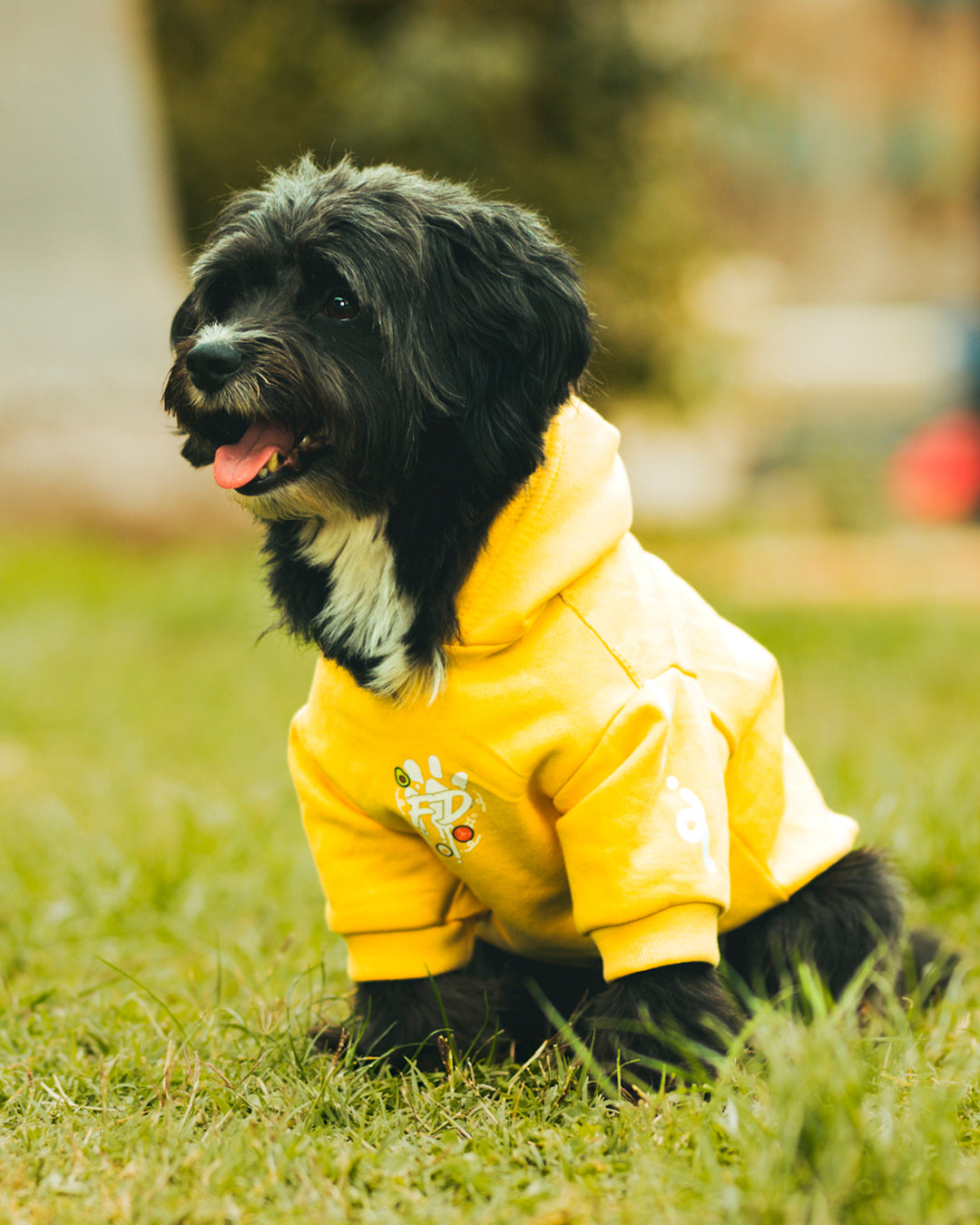 Polerón para Perro Colección Complerrito – x @mokka.rin Amarillo