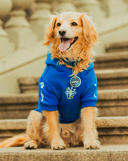 Polerón para Perro Colección Complerrito –  x @mokka.rin Azul