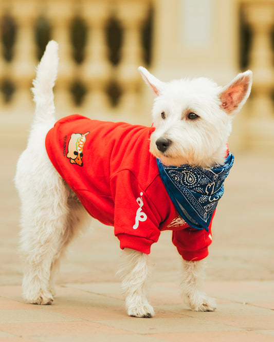 Polerón para Perro Colección Complerrito – x @mokka.rin Rojo