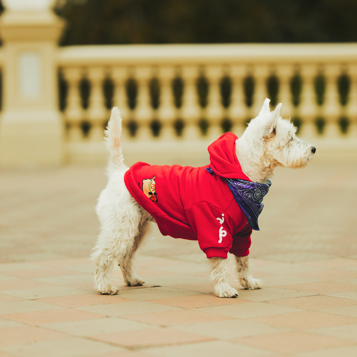 Polerón para Perro Colección Complerrito – x @mokka.rin Rojo