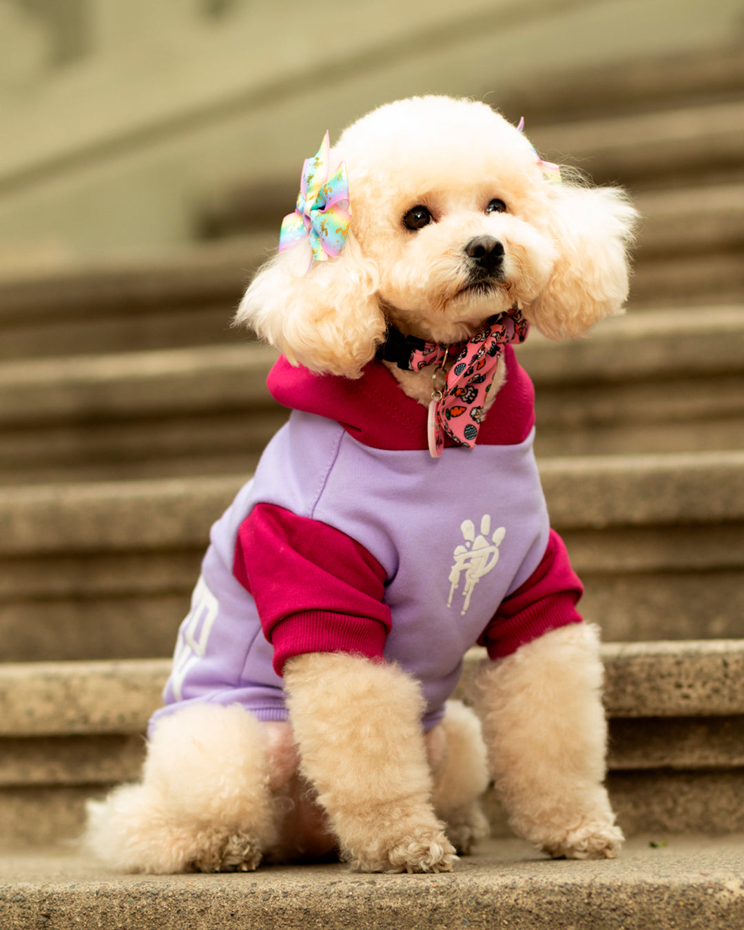 Polerón para perro FD24 Lila/Orquidea