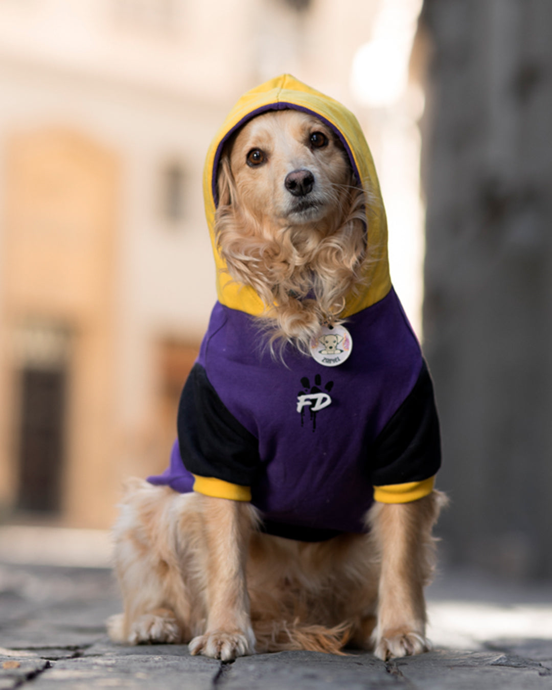 Polerón para perro Stay Perrísimo morado