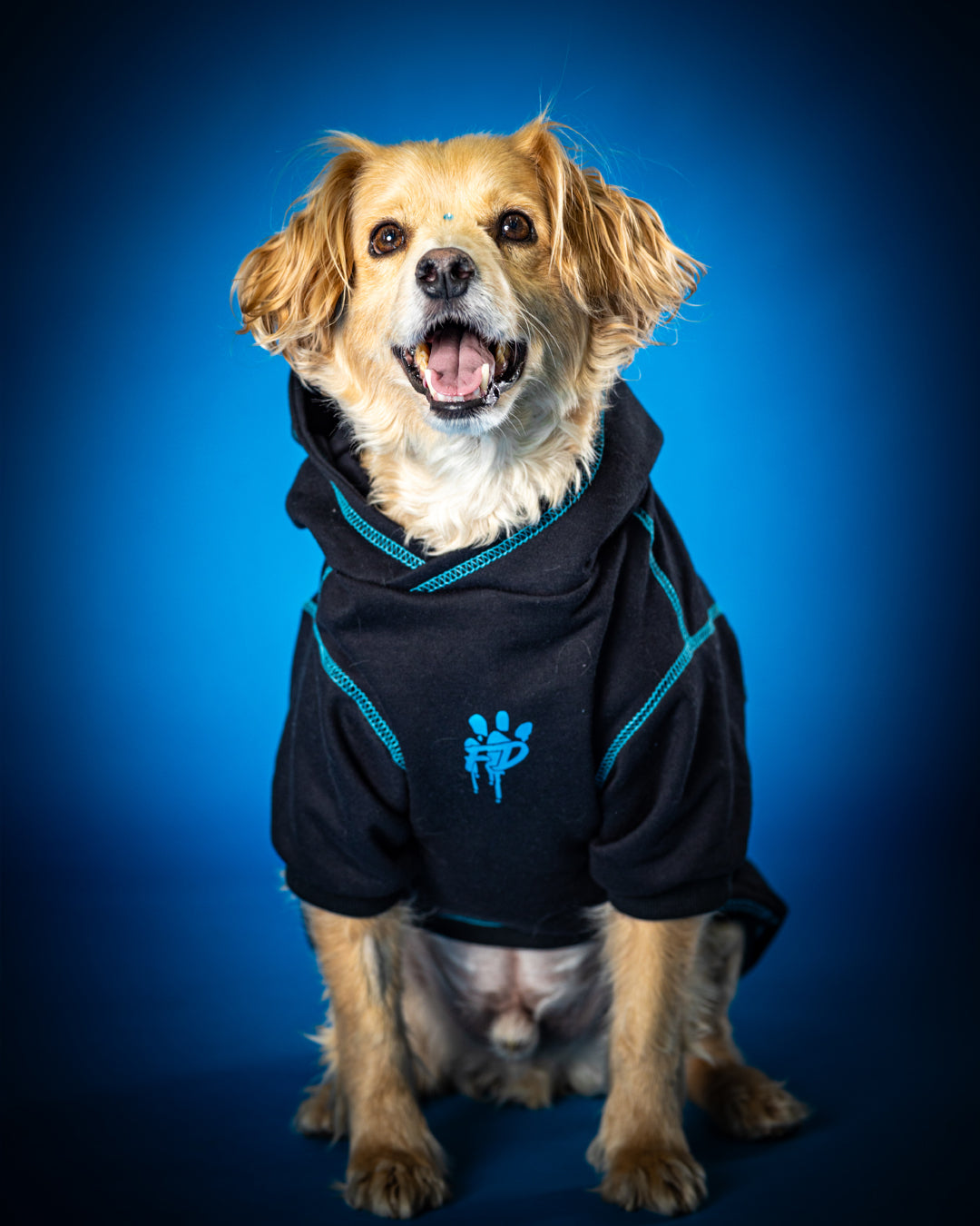 Polerón de Algodón para Perros - Colección FD25 2025 | Colores de Temporada y Estampados Exclusivos Negro/Cyan