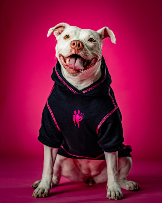 Polerón de Algodón para Perros - Colección FD25 2025 | Colores de Temporada y Estampados Exclusivos Negro/Fucsia
