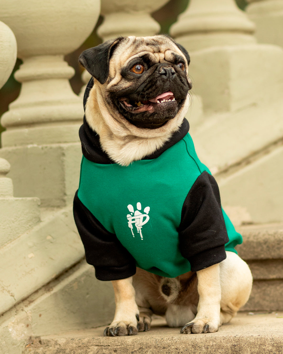 Polerón para perro FD24 Verde / Negro
